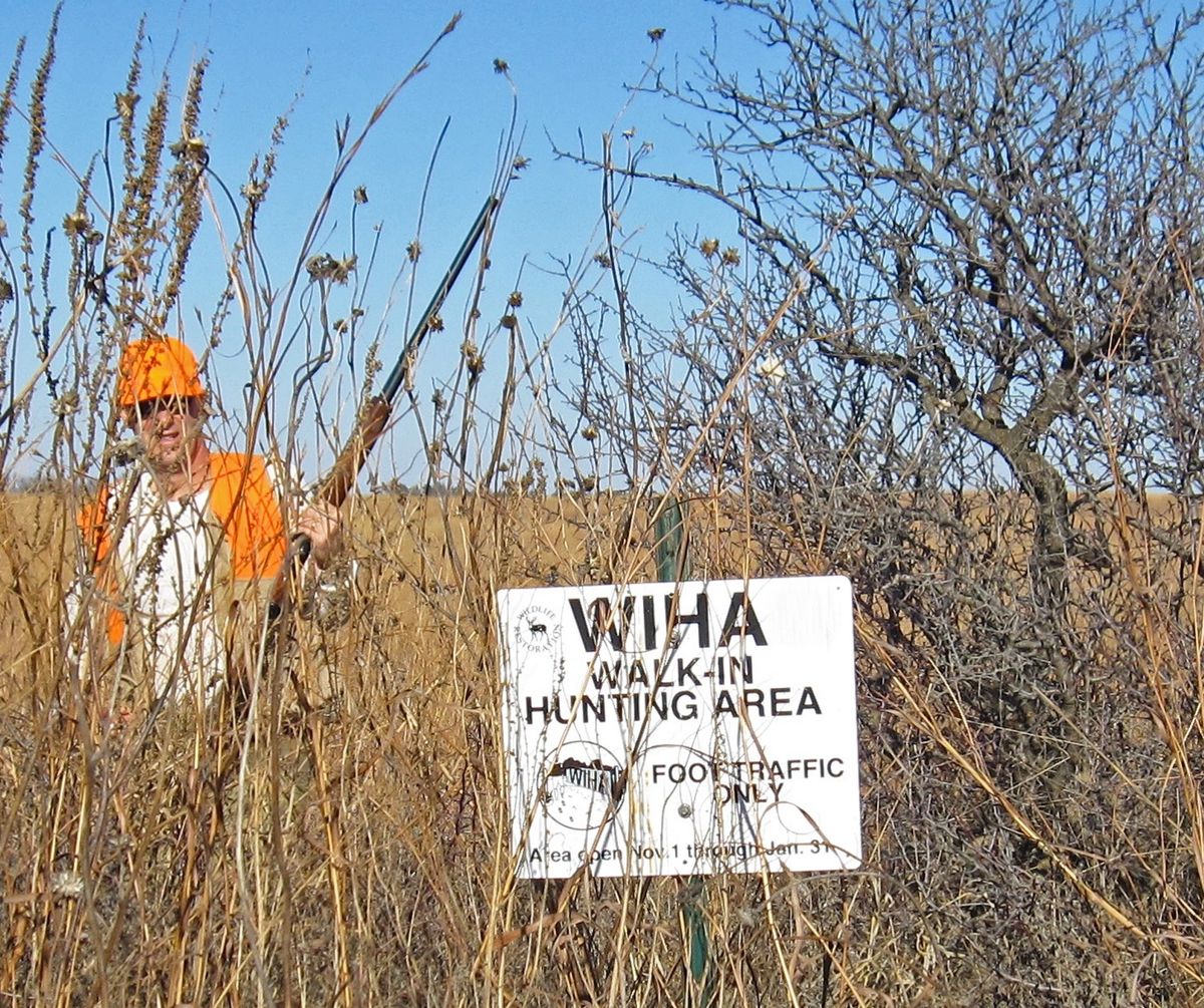 Online video webinar/class Publicaccess bird hunting build your plan based on my 32 years and